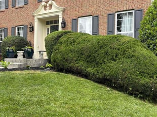 Jim_Carla A.'s Lawn Service service result