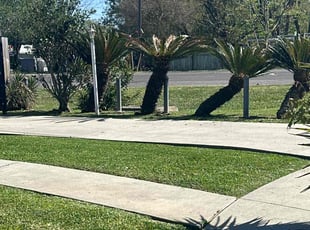Dean N.'s Lawn Mowing service result