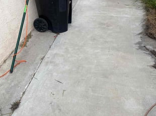 Leaf Removal by Robert Camarena for Misael O. in Los Angeles, CA