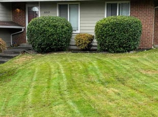 Bush Trimming by Mike Davis for Conna S. in Federal Way, WA