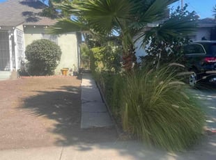 Bush Trimming by William Mendoza for Carol M. in Los Angeles, CA