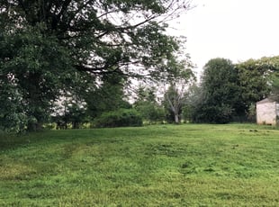 Cleanups by Tim Johnson for Caila A. in Mooresville, NC