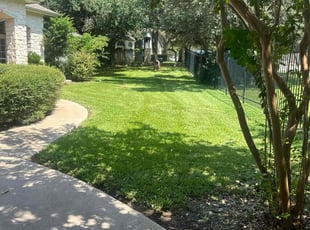 Dean H.'s Lawn Mowing service result