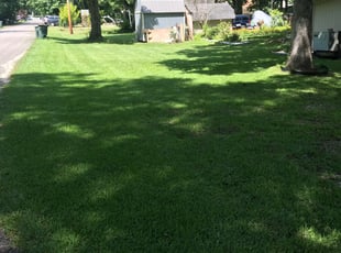 Cleanups by Xavier Grant for Jean B. in North Myrtle Beach, SC