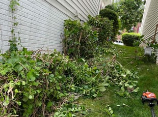 Bush Trimming by Jason Scott for Magnira G. in Gaithersburg, MD