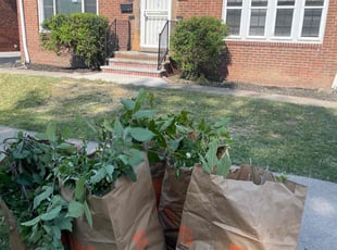 Bush Trimming by Demetrius Bennett Jr for Kelly B. in East Cleveland, OH