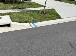 Robert V.'s Lawn Mowing service result