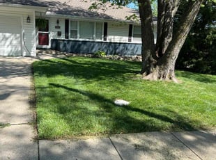 Sabrina A.'s Grass Cutting service result