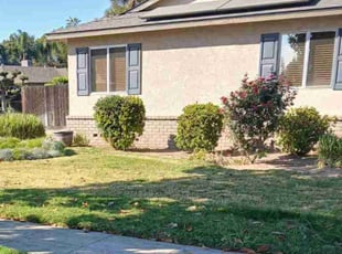 Bush Trimming by Ophelia Pratt for William H. in Fresno, CA
