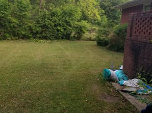 Cleanups by Christopher Grant for Erica D. in Douglasville, GA
