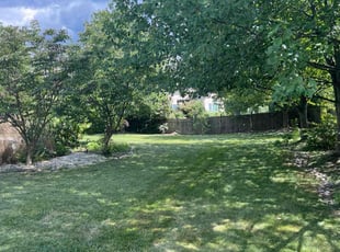 Maria L.'s Lawn Service service result