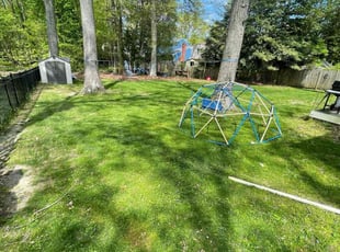 Laina L.'s Lawn Mowing service result