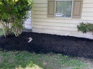 Mulching by Shanta Mitchell for Zarria B. in Cordova, TN