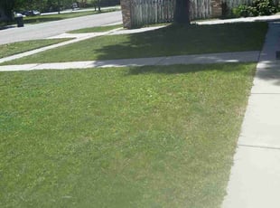 melissa b.'s Lawn Care service result