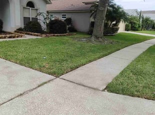 Krystal B.'s Lawn Care service result