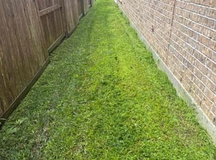 LaTosha G.'s Lawn Care service result