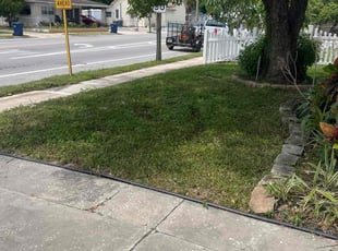 Rivero B.'s Lawn Care service result