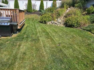 Ellen W.'s Grass Cutting service result