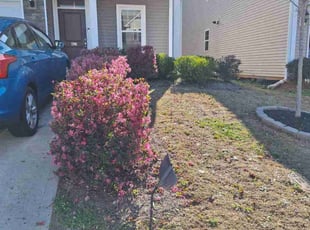 Bush Trimming by Quincy Ballenger for Mason S. in Boiling Springs, SC