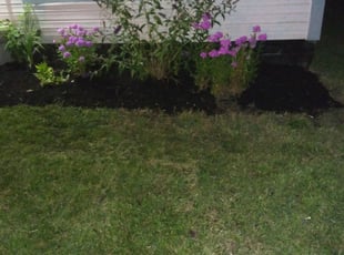 Mulching by Lamont Howard for Shannon M. in Canal Winchester, OH