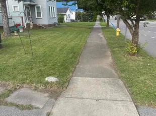 Bernice B.'s Lawn Care service result