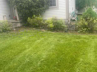 Weeding by Buckeye Touch for John H. in Groveport, OH