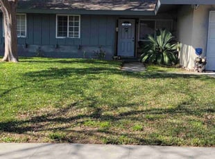 Angie G.'s Lawn Care service result