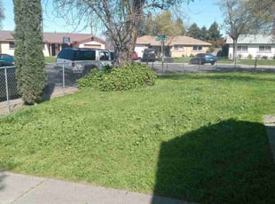 Leaf Removal by Thomas Hancock for Anne P. in Stockton, CA