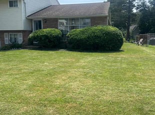 Bush Trimming by Askia Johnson for Kenneth R. in Drexel Hill, PA