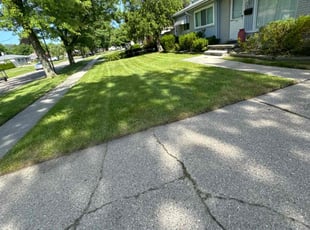 Deborah C.'s Lawn Mowing service result