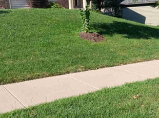 Pamella H.'s Lawn Service service result