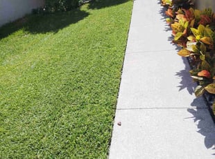Chet H.'s Lawn Service service result