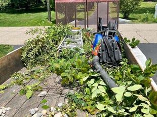 Bush Trimming by Jobe Homan for Terry W. in Cincinnati, OH