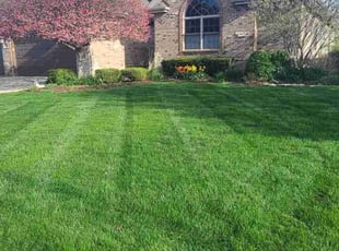 Tammi R.'s Lawn Maintenance service result
