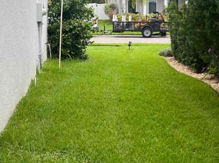 Giovanni B.'s Grass Cutting service result