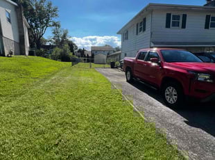 Sheri F.'s Grass Cutting service result