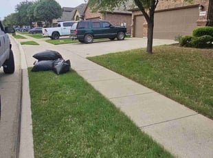 Leaf Removal by Adam Young for Bud S. in Fort Worth, TX