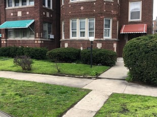 Bush Trimming by Larry Cornelious for Martrice E. in Chicago, IL