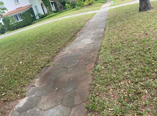 Leaf Removal by Roberto Dieuveut for Max s. in Jacksonville, FL