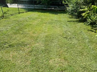 Chasity J.'s Lawn Service service result