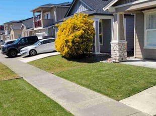 Jessica H.'s Lawn Care service result