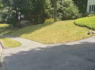 FRANK M.'s Lawn Mowing service result
