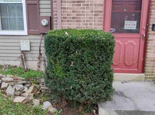 Bush Trimming by Wayne Barnes for STEVE M. in Owings Mills, MD