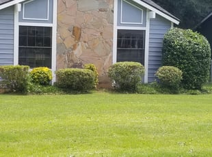 Bush Trimming by Steve Burgess for Tiffney J. in Lilburn, GA