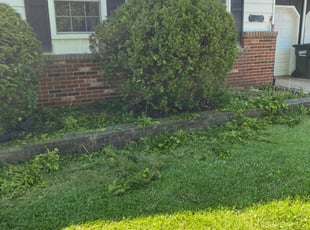 Bush Trimming by Patrick Toothman for Logan . in Streetsboro, OH