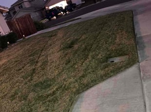 Bush Trimming by Andre Hancock for Ina G. in San Jacinto, CA