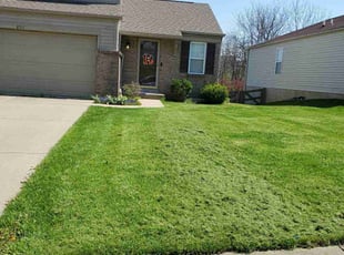 Martina L.'s Lawn Mowing Service service result