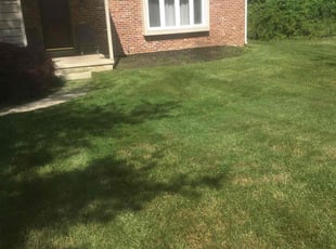 Derek C.'s Grass Cutting service result