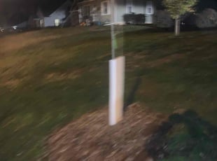 Leaf Removal by Jason Leger for Bill C. in Minneapolis, MN