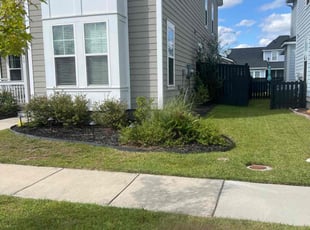 Vincent N.'s Grass Cutting service result